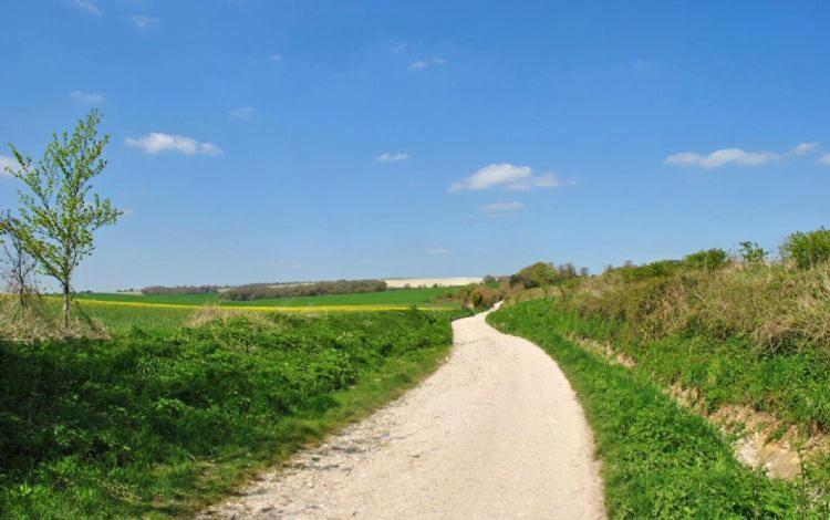 The Run, West Lavant Chichester Extérieur photo